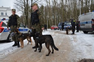 Szkolenie przewodników psów służbowych na terenie Uniwersytetu w Białymstoku 