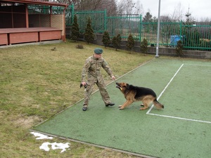 Dikon i jego przewodnik st.chor. SG Szymon Jackiewicz 