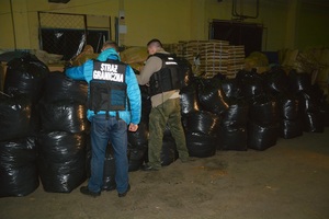 Nielegalny tytoń wart blisko 700 tys. zł. 