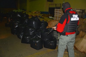 Nielegalny tytoń wart blisko 700 tys. zł. 