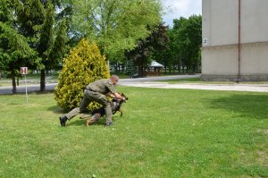 II Mistrzostwa Kynologiczne Podlaskiego Oddziału Straży Granicznej 