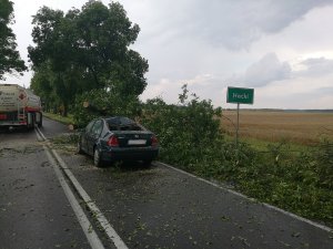 Droga krajowa nr 19 po nawałnicy 