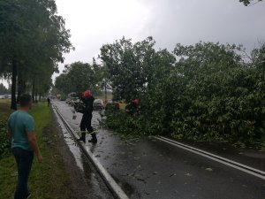 Droga krajowa nr 19 po nawałnicy 