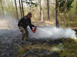 Gaszenie pożaru w lesie 