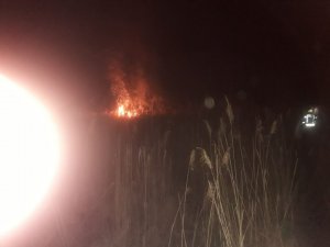 Pożar w Puszczy Białowieskiej 