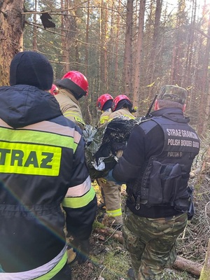 Akcja ratunkowa w Puszczy Białowieskiej 