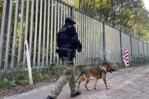 Patrol z psem Funkcjonariusz SG idący z psem przy technicznej barierze na granicy