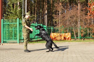 Uczniowie z Mazowsza w Podlaskim Oddziale Straży Granicznej 