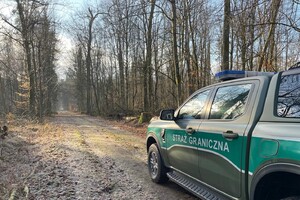 Służbowe auto Straży Granicznej Służbowe auto Straży Granicznej jadące leśną drogą prowadzące do granicy państwowej