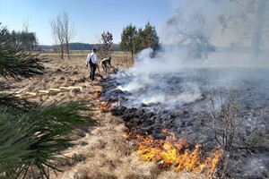 Akcja gaśnicza Dwie osoby gaszą pożar palącej się trawy