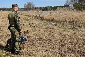 Patrol z psem służbowym przy rzece granicznej 