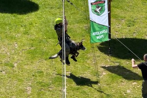 Mistrzostwa w kwalifikowanej pierwszej pomocy 