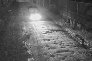 Zatrzymanie migrantów po nielegalnym przekroczeniu granicy 