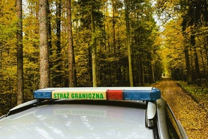 Pojazd Straży Granicznej Pojazd Straży Granicznej, widoczny tylko dach z napisem, w tle las jesienią.