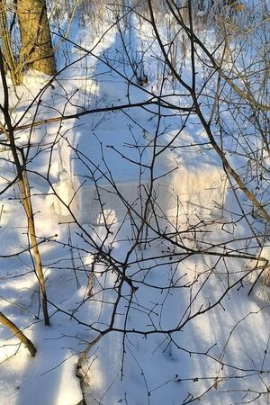 ujawnione pakunki z nielegalnymi papierosami 