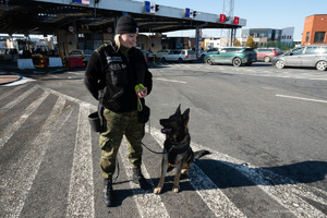 Panie w Podlaskim Oddziale Straży Granicznej 