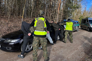 Migranci i kurierzy przy granicy polsko-litewskiej 