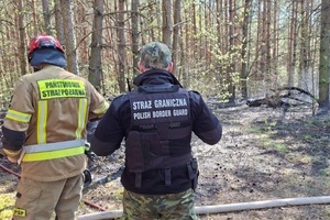 Funkcjonariusze Straży Granicznej pierwsi na miejscu zdarzenia Funkcjonariusz straży granicznej oraz straży pożarnej stoją przy lesie.