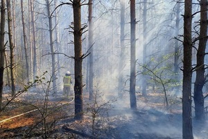 Funkcjonariusze Straży Granicznej pierwsi na miejscu zdarzenia Na zdjęciu widać dym spalonej trawy wśród lasu.