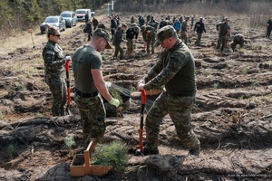 Sadzenie lasu ze Strażą Graniczną Strażnicy graniczni sadzą drzewa.