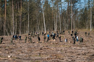 Sadzenie lasu ze Strażą Graniczną Grupa osób w oddali sadzi drzewa.