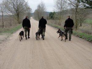 Szkolenie dla przewodników psów służbowych 