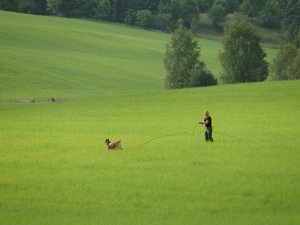 Mistrzostwa Kynologiczne w POSG 